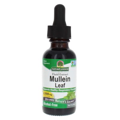 Nature's Answer - Alcohol-Free Mullein Extract