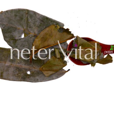 Soursop Leaves