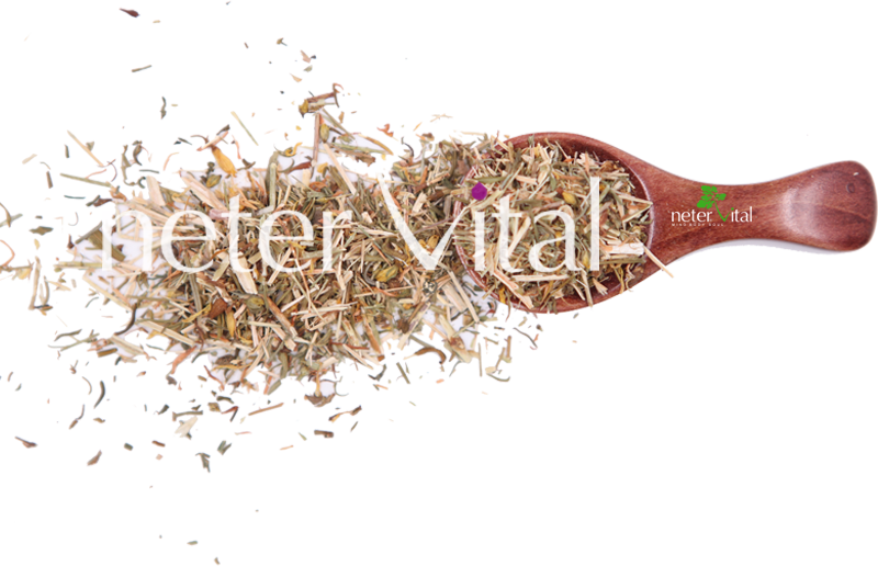 St John’s Wort Herb (Organic)