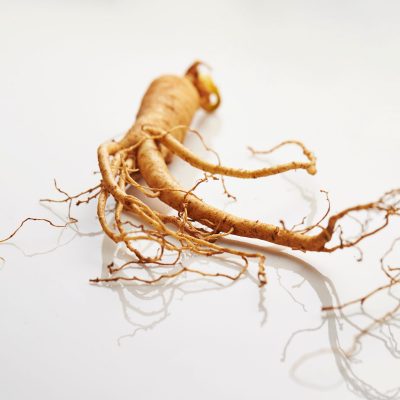 Eleutherococcus Root/Siberian Ginseng (Organic)