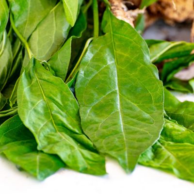 Guinea Hen Weed (Organic)