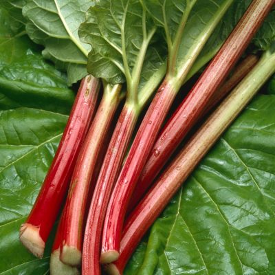 Rhubarb Root (Organic)