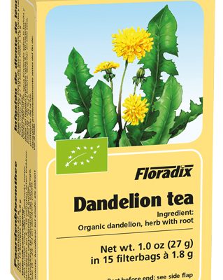 Floradix - Dandelion Herbal Teabags